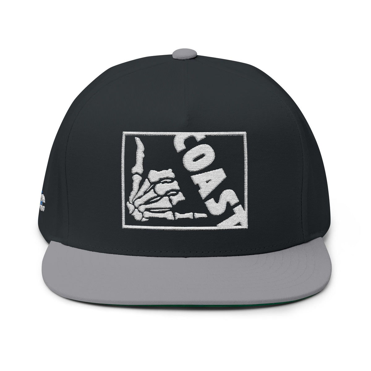 Hang Ten Snapback