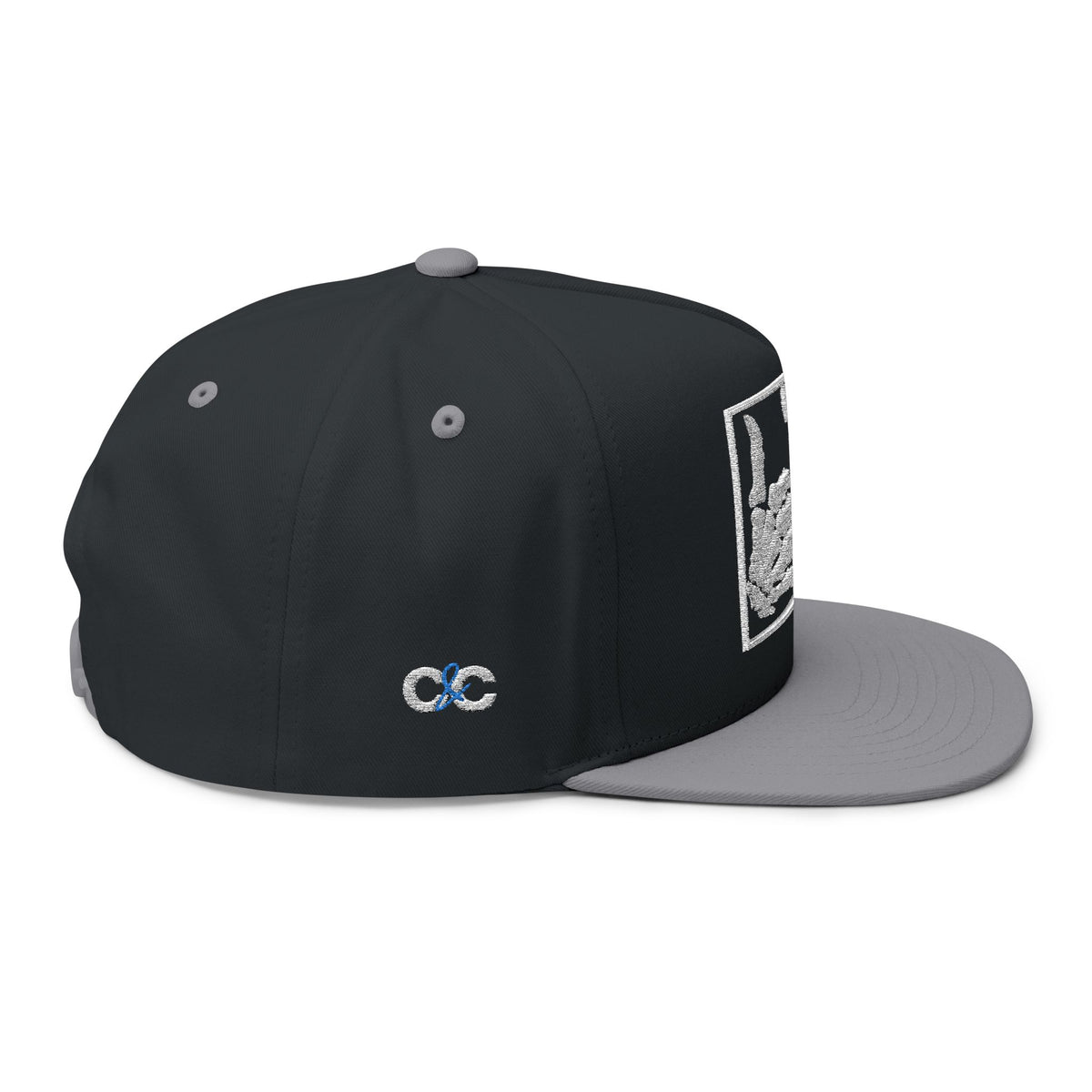 Hang Ten Snapback